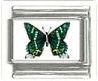 Italian Charms Modul Schmetterlinge