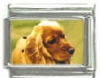 Italian Charms Modul Hunde - Cocker Spaniel